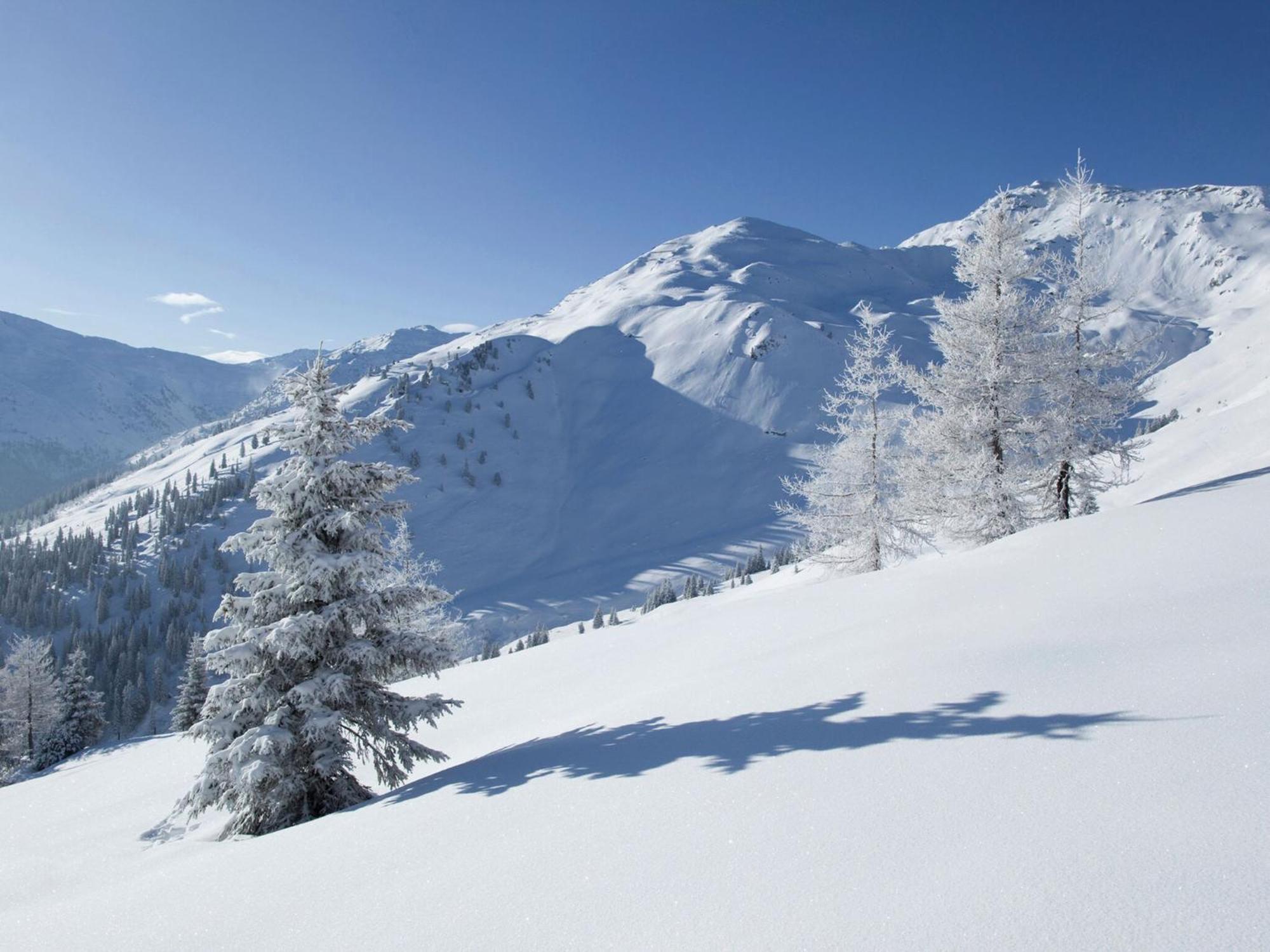 Holiday Flat In Uderns Near The Ski Area Екстериор снимка